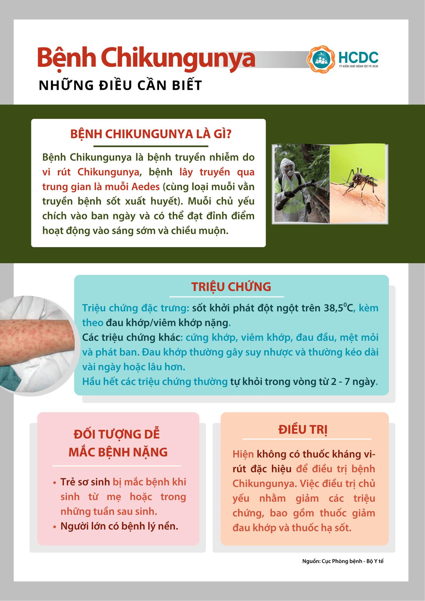 Infographic: Bệnh Chikungunya - Những điều cần biết